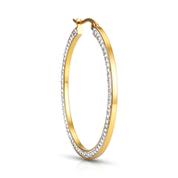 FULL CIRCLE Earring/ Hoops