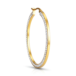 FULL CIRCLE Earring/ Hoops